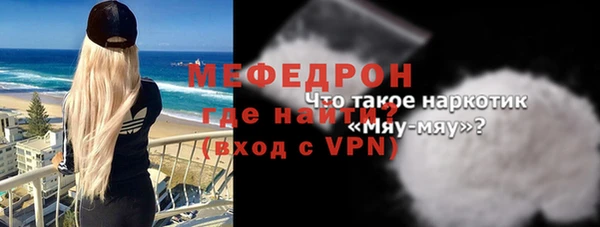 хмурый Пересвет