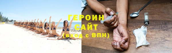 хмурый Пересвет